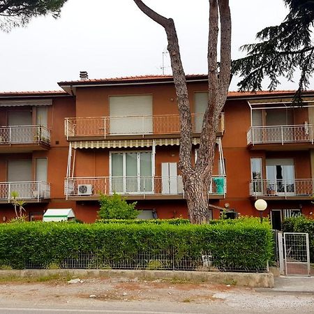 Apt. 7 - Villa Dei Pini Амелия Экстерьер фото